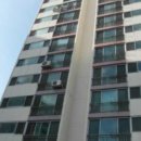 완월동147 이미지