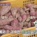 중산농원 네이버블로그