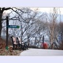 백년약속 이미지