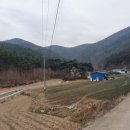 신녕면-부산1리-1