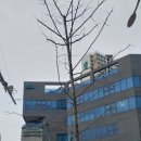 서이드림내과의원 네이버블로그