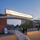 군산월명종합경기장주경기장(축구장) | 2024년 군산새만금 국제마라톤대회 풀코스 참가 후기!