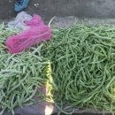 도시의 아침 이미지