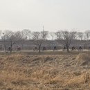 은고개로 Daum카페