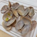 유천칡냉면바지락칼국수 이미지