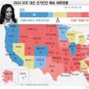 선 이미지