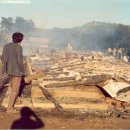 명지초등학교 이미지