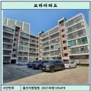 보라아파트 이미지