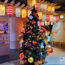 11530-12-13 이미지