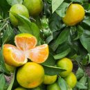 쉼터농장 이미지