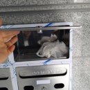 금오전기,철물 이미지