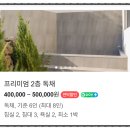 [제주 구좌읍 숙소 추천] 야외 자쿠지·바비큐 무료인 가성비 독채 '제주프로포즈풀빌라' 후기