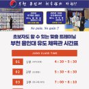 용인대 대한 유도체육관 이미지