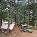 숲속의 쉼터 이미지