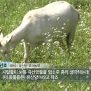 옥전목장 이미지