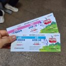 느티나무길>금강공원길 | 부산 아이랑 등산 추천! 금강공원 케이블카 타고 금정산 다녀온 리얼후기(1)