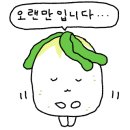 플라워보틀리 네이버블로그