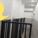 HELP 유기동물 의료센터 이미지