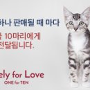 에이치앤에스디