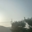 더스테이&도트 | 애견동반 가능한 연천펜션은 !? 더스테이&amp;도트_ 넓은 마당있는 독채 감성숙소 추천합니다