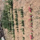 미평공원 이미지