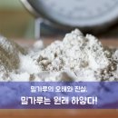 대한제분 곰표 밀가루...Non Gmo 우리밀 이미지