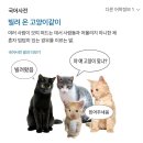 이미트 트레이더스 추천템 말해줘 🥹 이미지