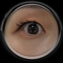 둔포로 | [아산] 둔포 베러뷰티 LED 속눈썹 연장 후기