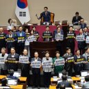 민주당의 독주 폭거 이미지
