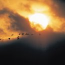 월평7호 이미지