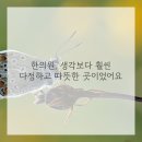 신세계한의원 이미지