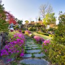 한방자연휴양림(산청) 이미지