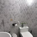 스테이너흐 이미지