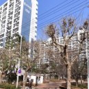 성서보성화성상가 이미지