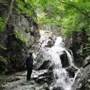 운산제 이미지