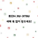 본주짓수충주