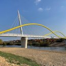 금호강하중도 이미지