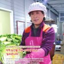 늘푸른나라