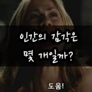 육감 - 서산시 정자동2로 36-19 | 육감