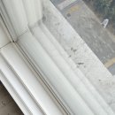 양이사 | 뉴한양마곡시티 이사청소 깔끔 관리 후기