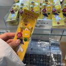 과일사탕탕후루 | [가마쿠라] 가마쿠라 간식 추천 | 과일캔디 아메노네 &amp; 토시마야 기념품