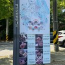 덕산오아시스 | 무더위를 날려준 여름휴가 추천 <충남 예산 덕산 스플라스 리솜 워터파크> 총정리 (방문 후기, 주요...