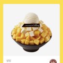 설빙 Daum카페