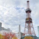 강남-060 | 🍣 “실패 없는 삿포로 여행 후기 맛집·숙소·핫플 총정리” 🧳 - ➀