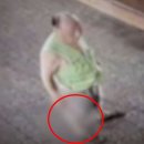 제기39 이미지