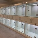 민들레애견 이미지