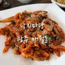 낙지마당 | 광주 낙지볶음맛집 매월동맛집 추천 몇 년째 단골 * 광주 서구 매월동 낙지마당