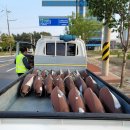 가로등 | [포항전기공사] 포항의 밤을 밝히다. 남구·북구 노후 가로등 LED 교체 대작업 후기!