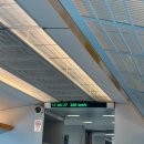 대호편의점 | [상해]상해여행 1-2일차_와이포지아, 유리호텔, 가오라오지우훠궈, 대호춘만두, 디즈니랜드, 헌지우이치엔