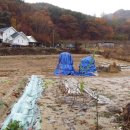 위형수농장 이미지